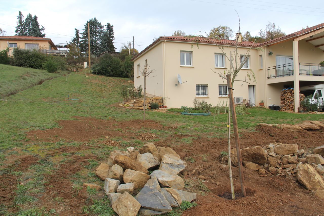 Plantation arbres