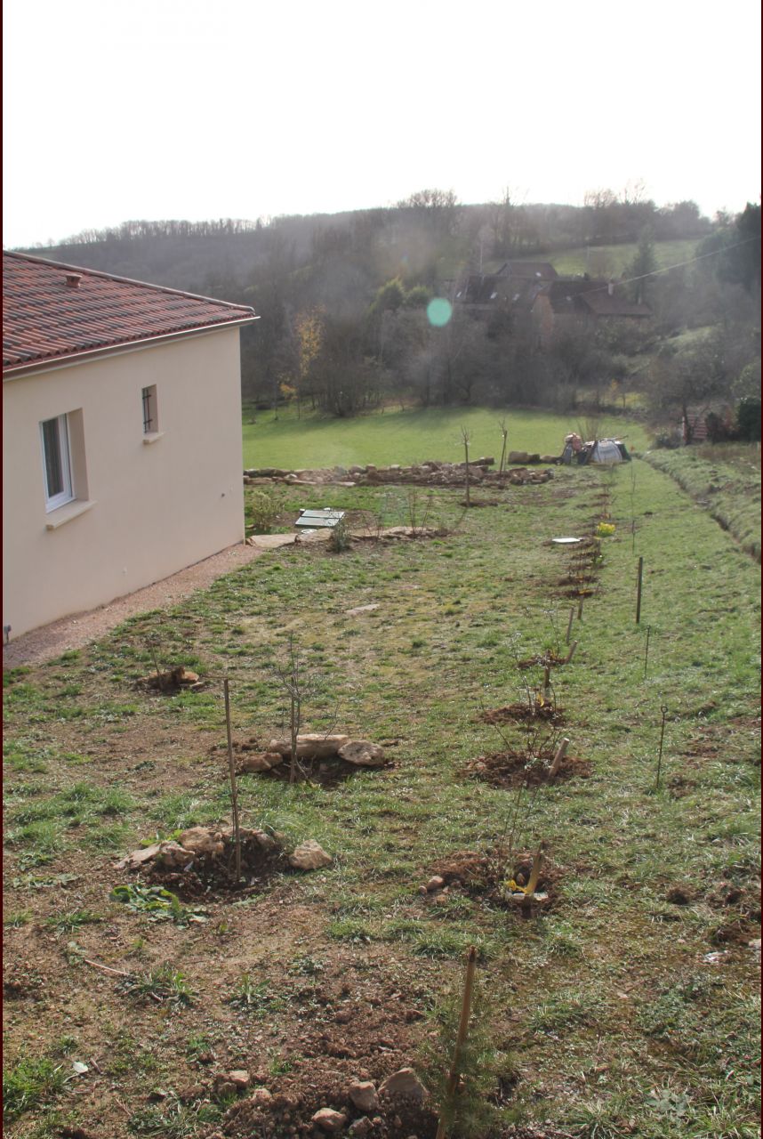 Plantation haie séparative en cours