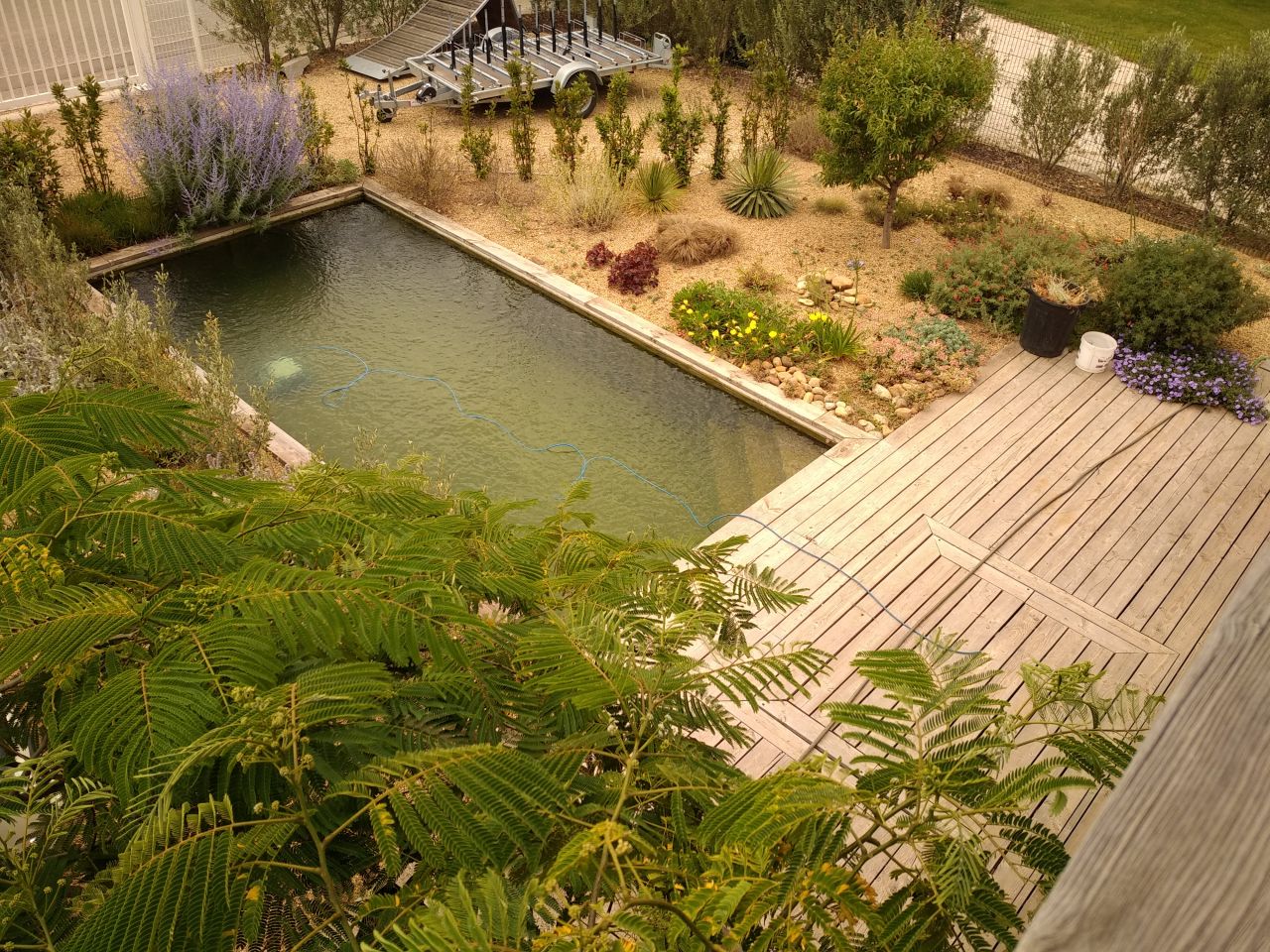 Vu de la terrasse sur la piscine eau naturel