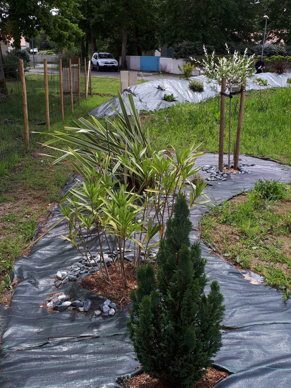 Préparation d'un site jardin zen !