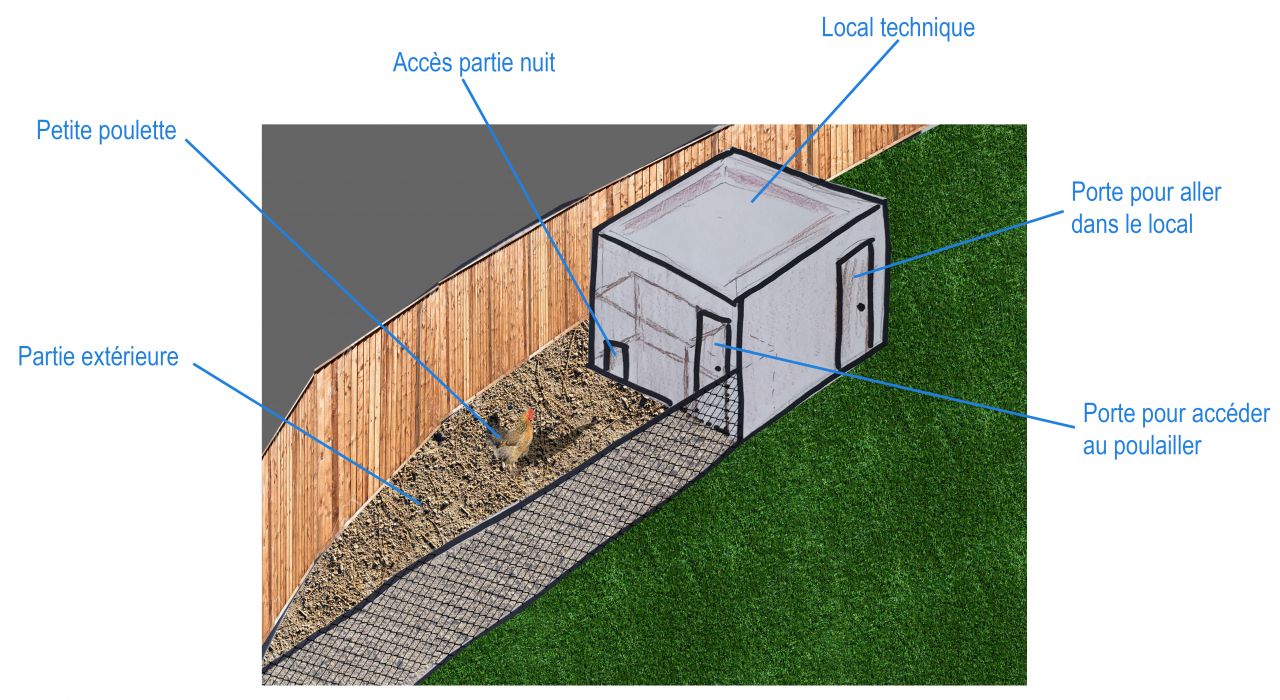 Plan poulailler