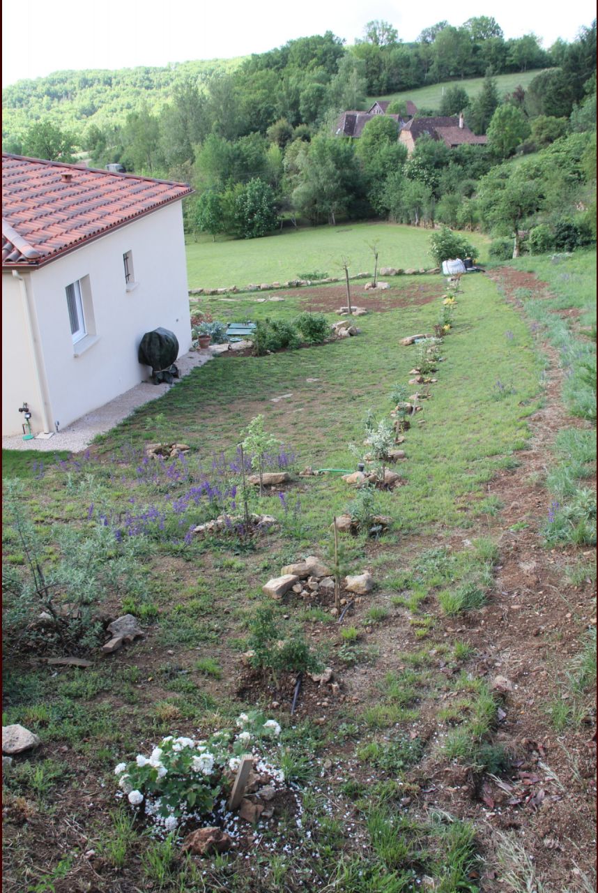 Le jardin en mai 2020