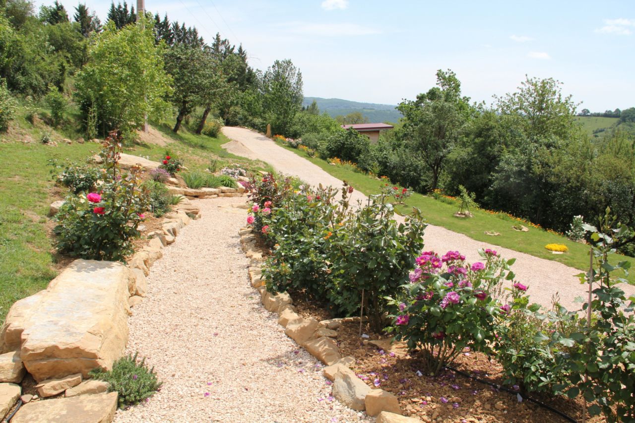 Le jardin en mai 2020