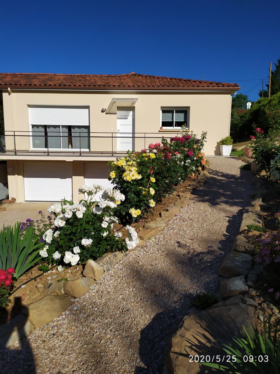 Le jardin en mai 2020