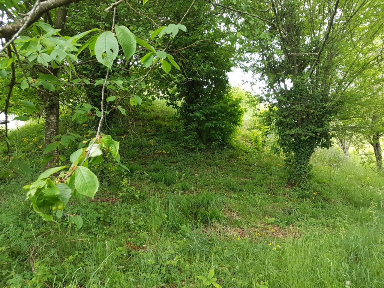 La fameuse colline plante au milieu du terrain!