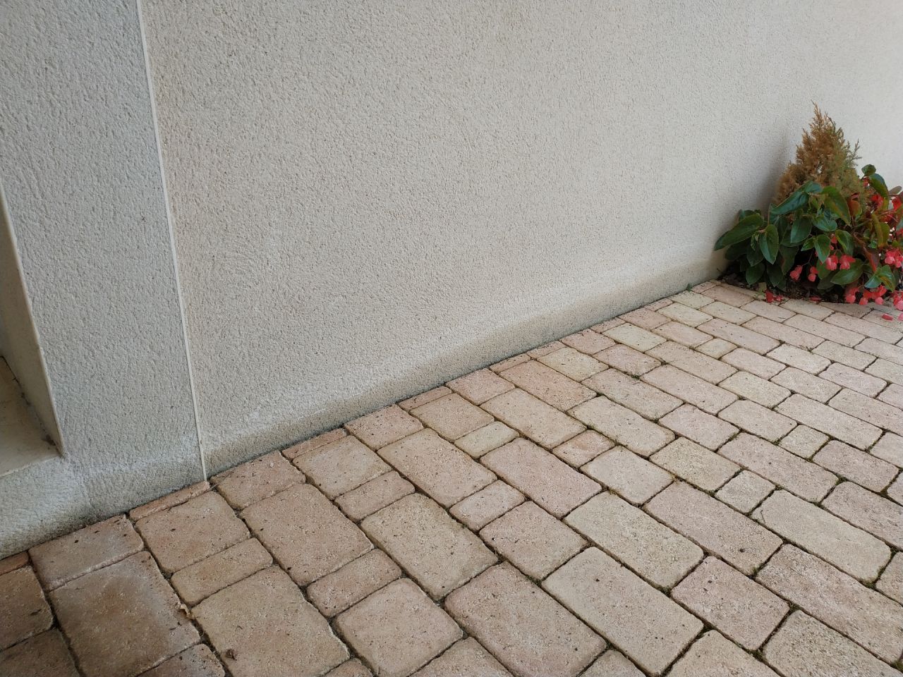 Humidit en bas de mur. Pas de gomembrane tanche sur cette faade, pavage sur lit de sable.