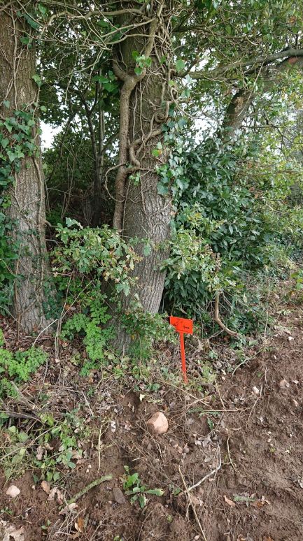 C'tait normalement deux arbres, on voit clairement que non ! Et on aperoit la borne qui nous indique que le terrain va 4m plus loin soit derrire le talus.