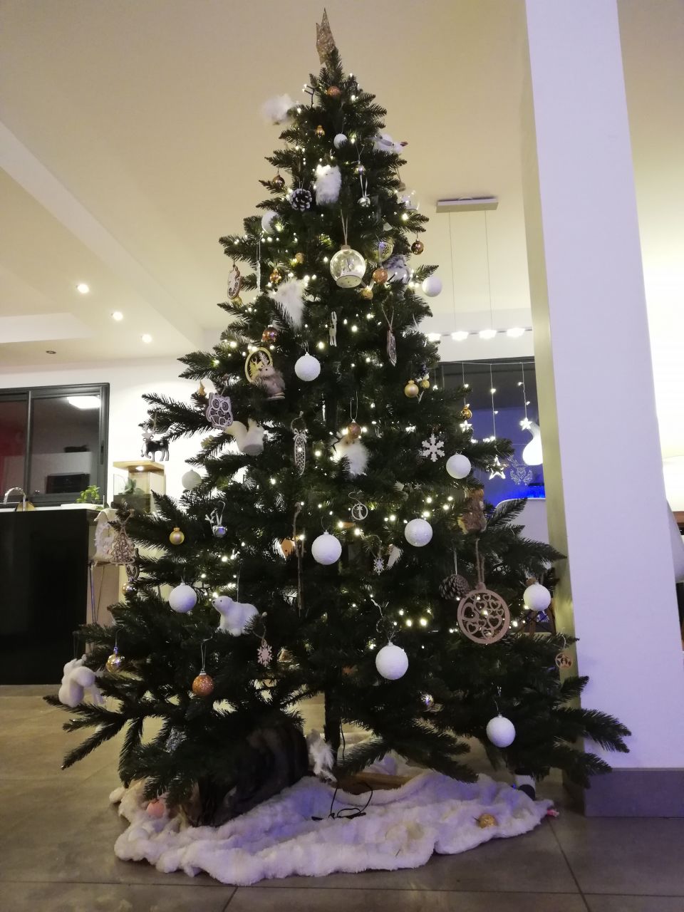 Sapin 2020