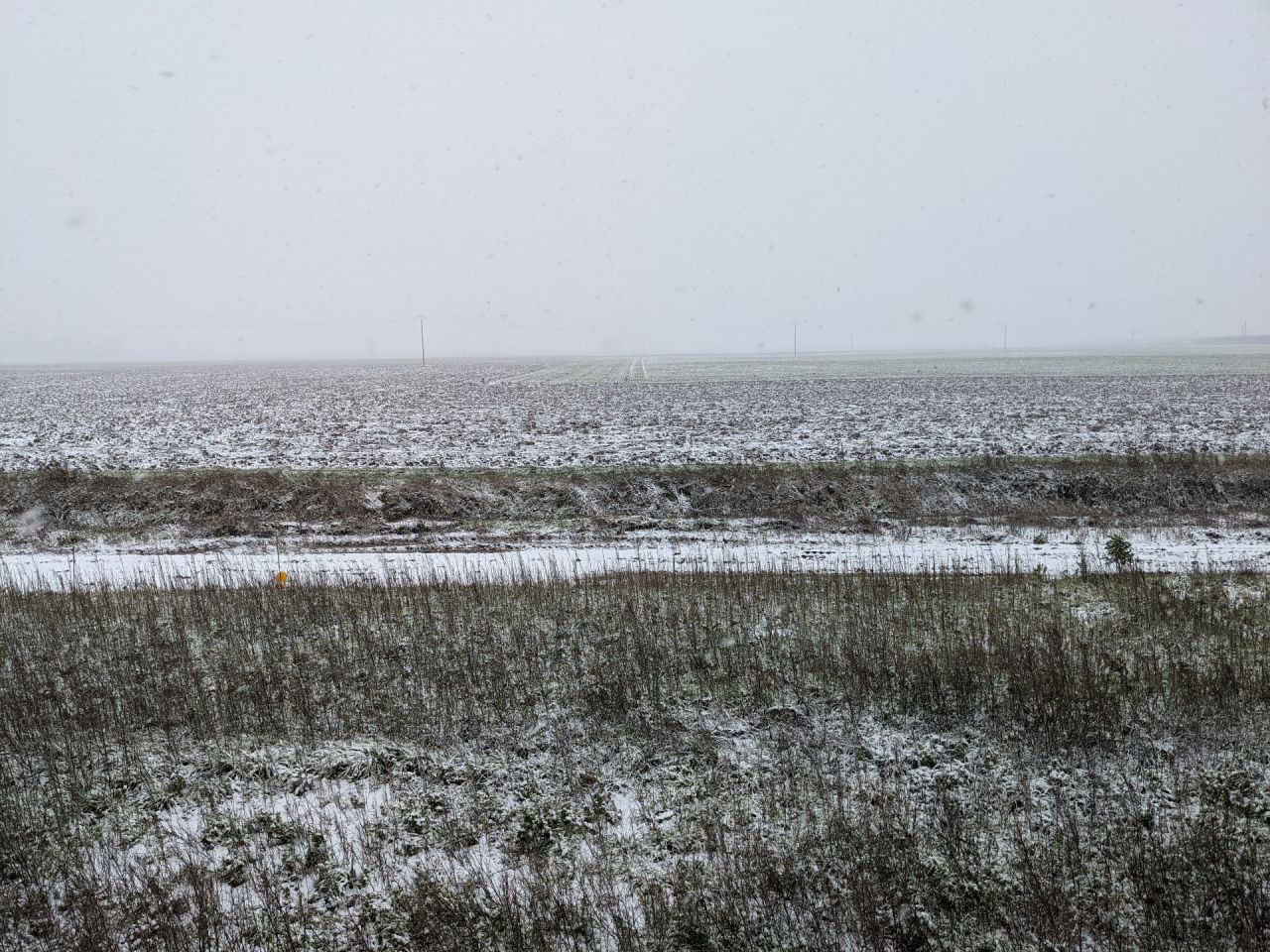 Vue sous la neige