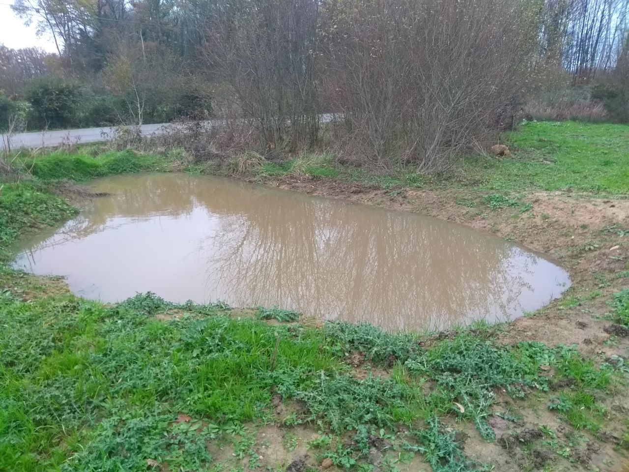 Mare gentiment creuse par Coeur Emeraude, association charge de la mise en place du parc naturel rgional.
<br />
Environ 12 de long et entre 4 et 7 m de large, profondeur maxi 1.5 m.
<br />
en ce moment, bien pleine ;)