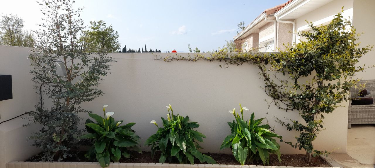 En rentrant à gauche , j'ai mis un eucalyptus , 3 arômes et un jasmin .