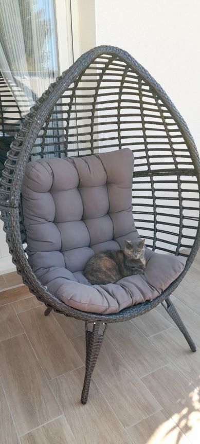 Quand tu sors ta chaise avec ce beau temps et qu'elle est occupée aussitôt installée !