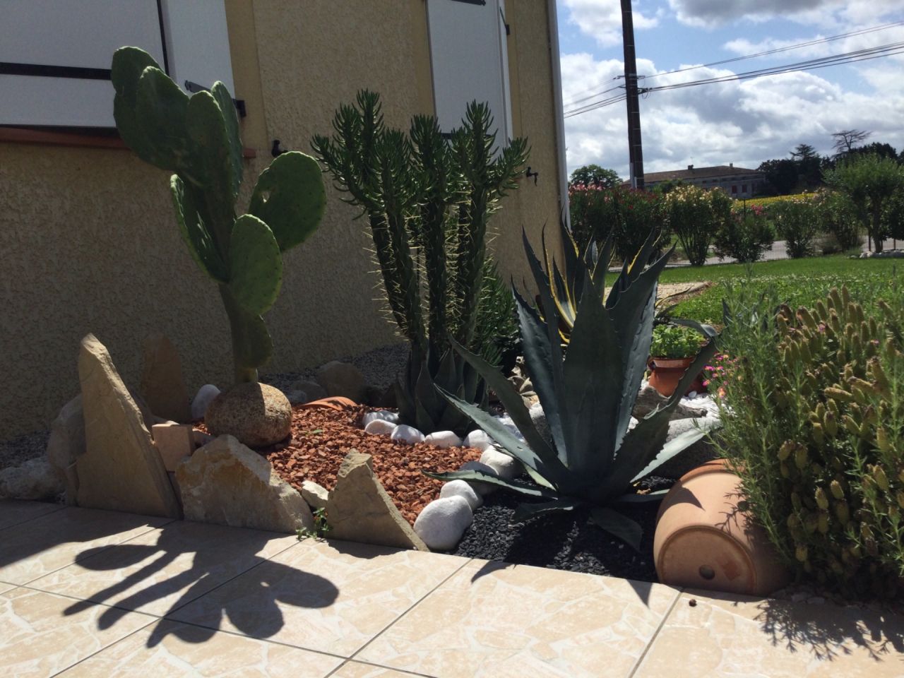 Enfin le beau temps est là et les cactus apprécient