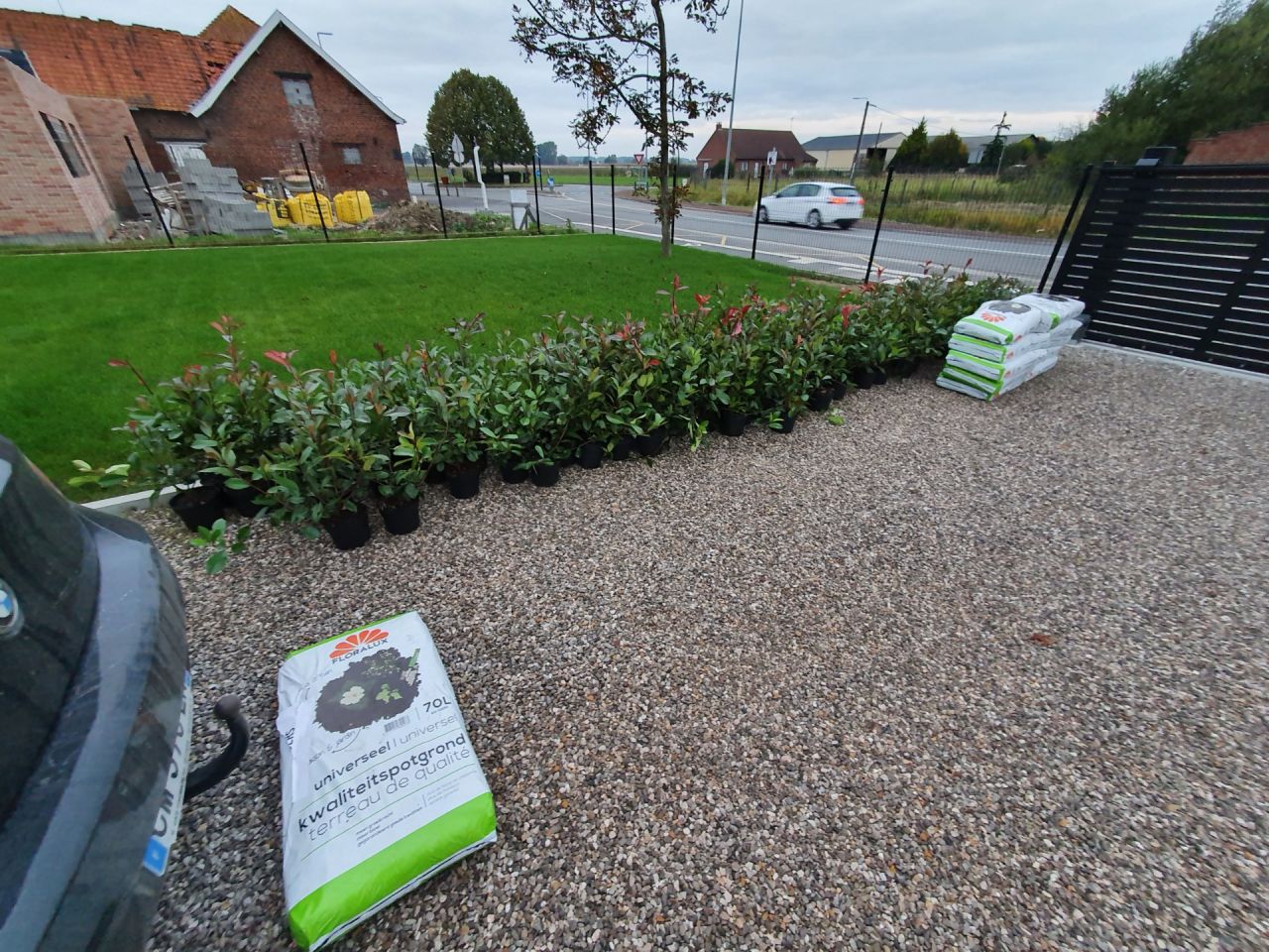 Livraison reçue de 116 plants