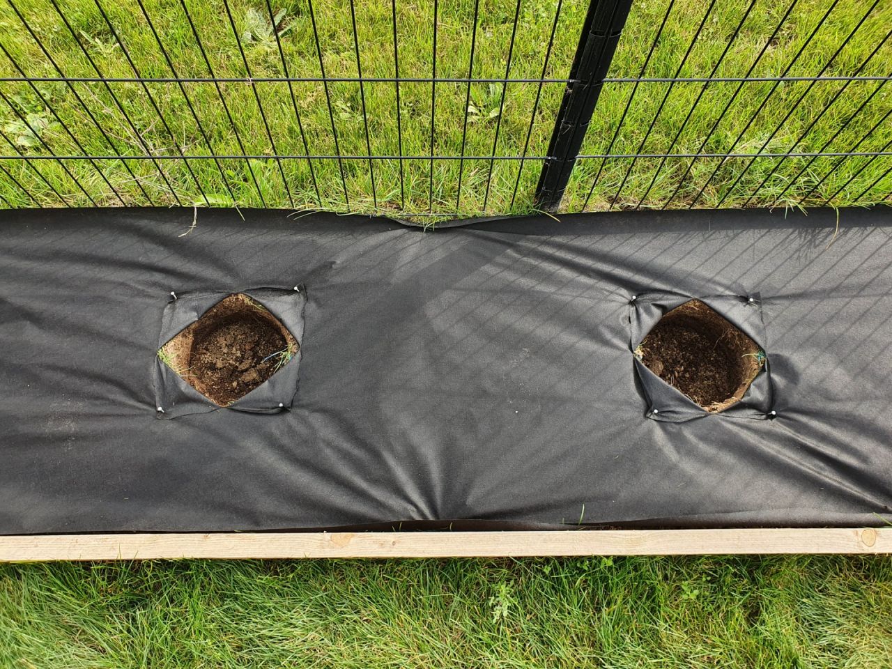 Préparation avant de planter