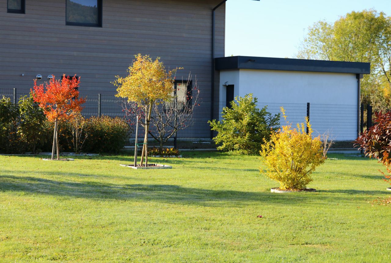 Au Sud, lagerstroemia orangé sur tige, aubépine jaune no 1, magnolia Leonard Messel encore vert, et grenadier tout jaune