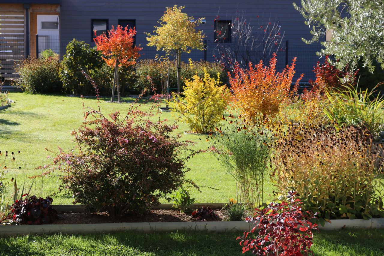 Aaaah !... Que c'est beau en octobre, je ne m'en lasse pas !... (En plus des floraisons, on devrait aussi prévoir quelques couleurs d'automne lorsqu'on crée un jardin, vous ne trouvez pas ?...)