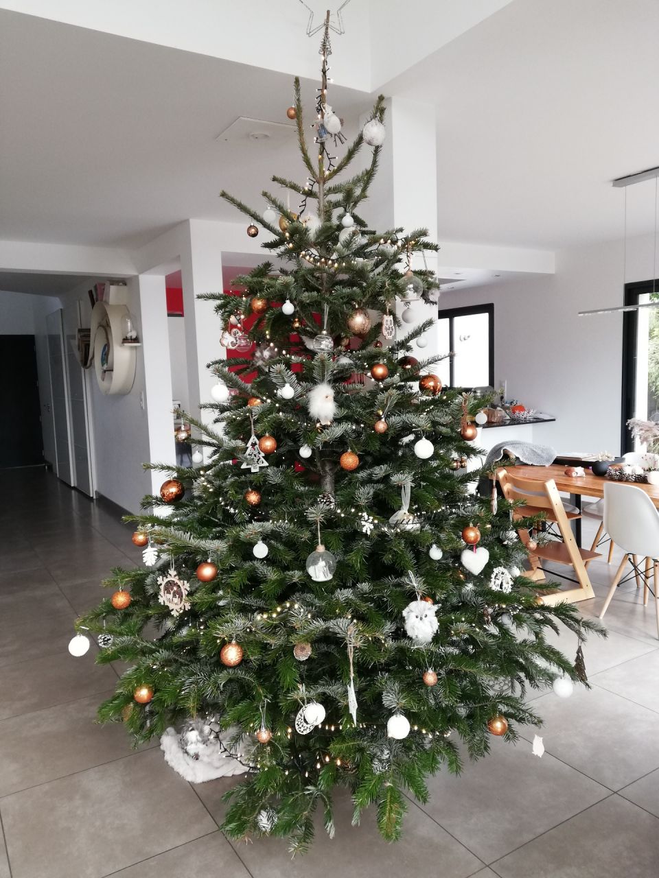 Sapin 2021