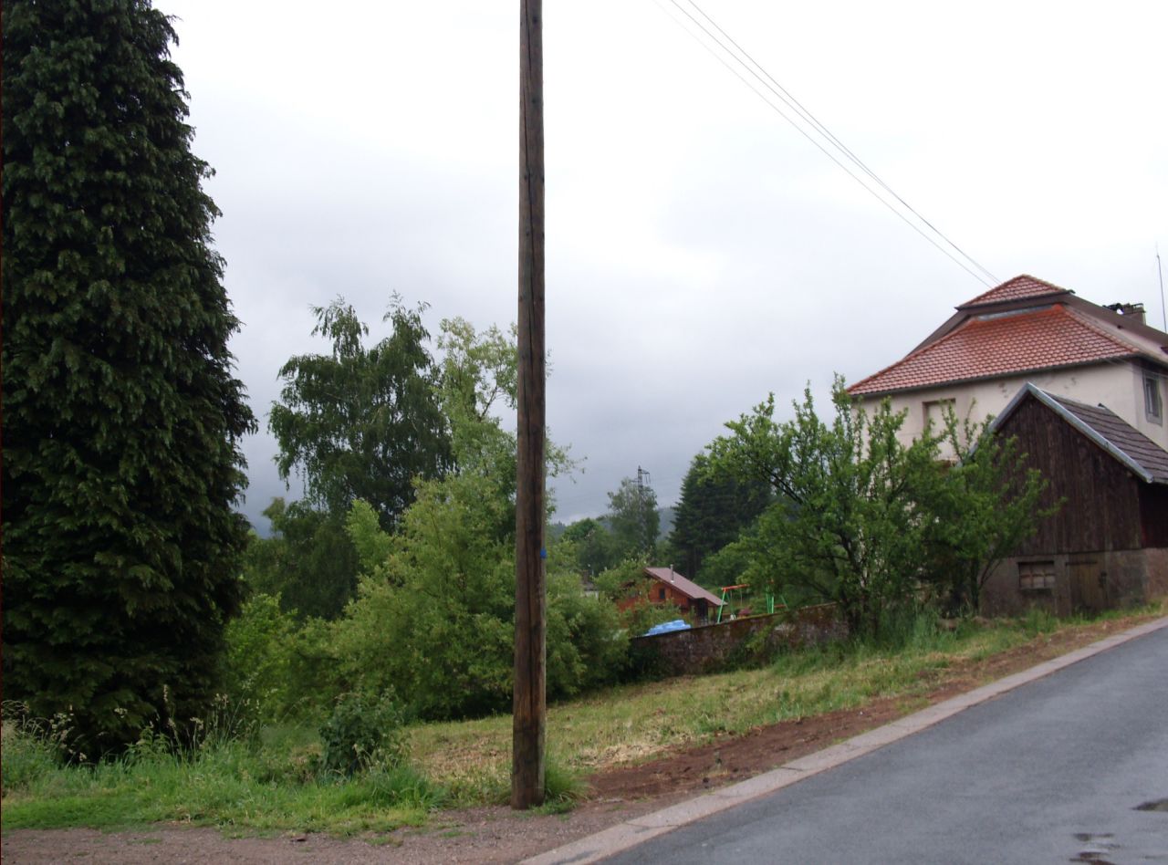 Vue du terrain en direction de l'Est. Il s'tend du poteau au muret.