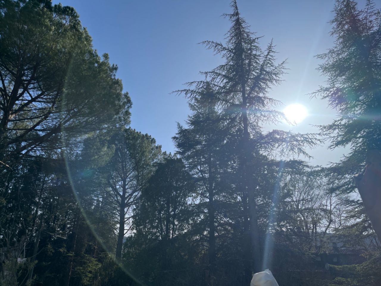 Ce soleil