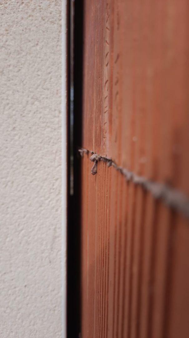 Entre notre maison et celle du voisin