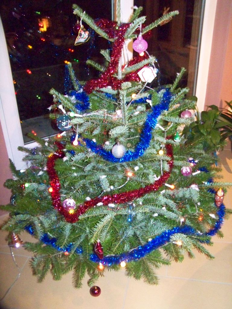 Mon beau sapin... 
<br />
d�cor� par mon petit Loulou