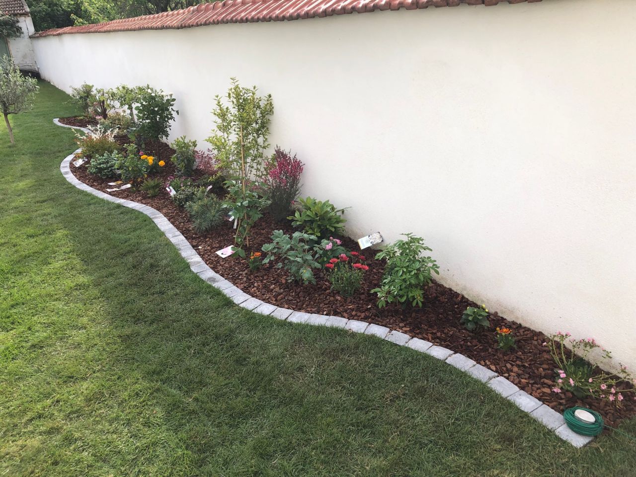 Plantations des arbres, arbustes et fleurs en cours