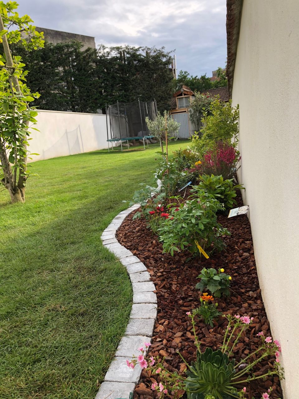 Plantations des arbres, arbustes et fleurs en cours