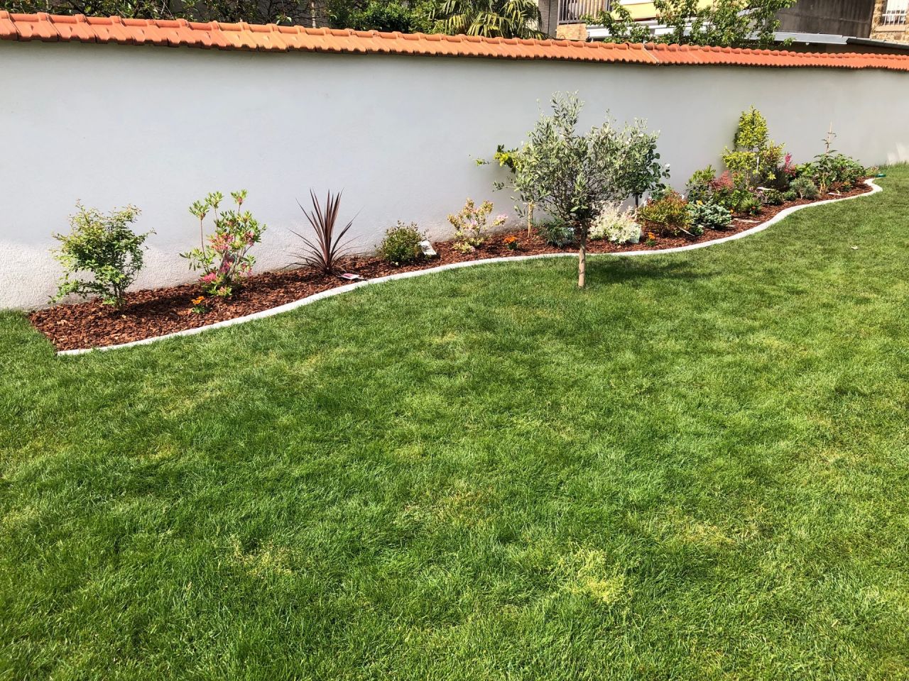 Plantations des arbres, arbustes et fleurs en cours