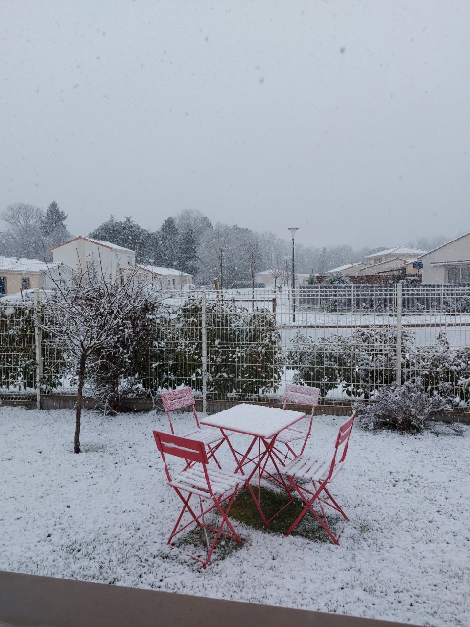 Le jardin sous la neige