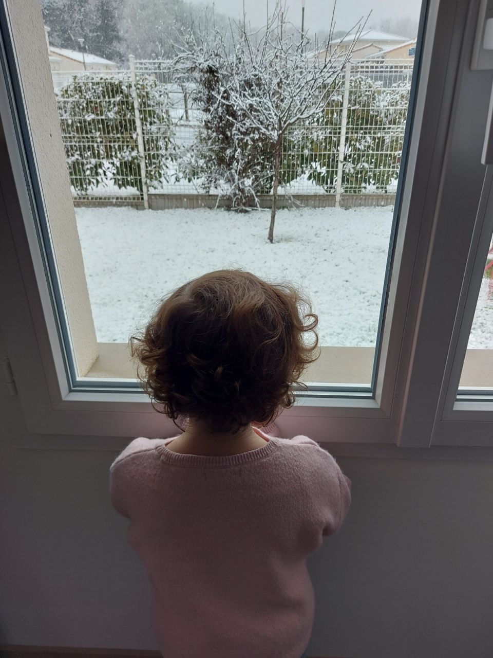 Le jardin sous la neige