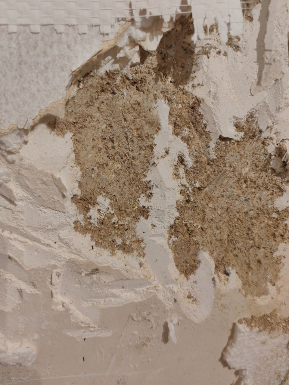 Le mur chambre 1 (RDC) : un espce de papier peint avec 3 mm de polystirne, puis le pltre et la pierre