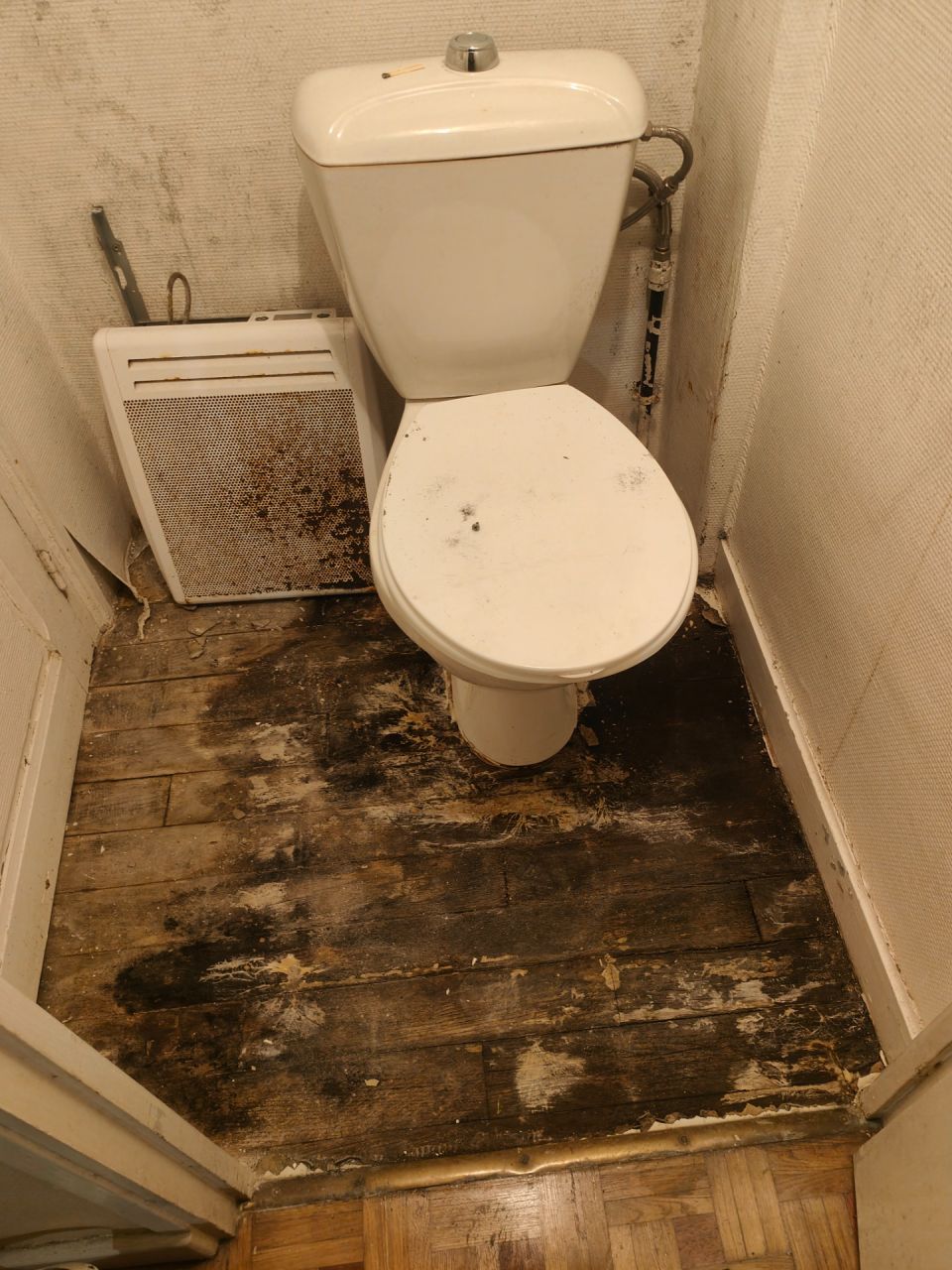 Le sol des WC du rez de chausse aprs avoir dpos le sol pourri. Photo aprs 2 jours de ventilation active !