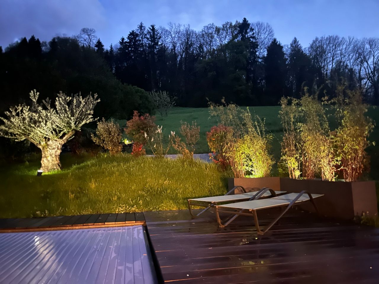 Garden by night