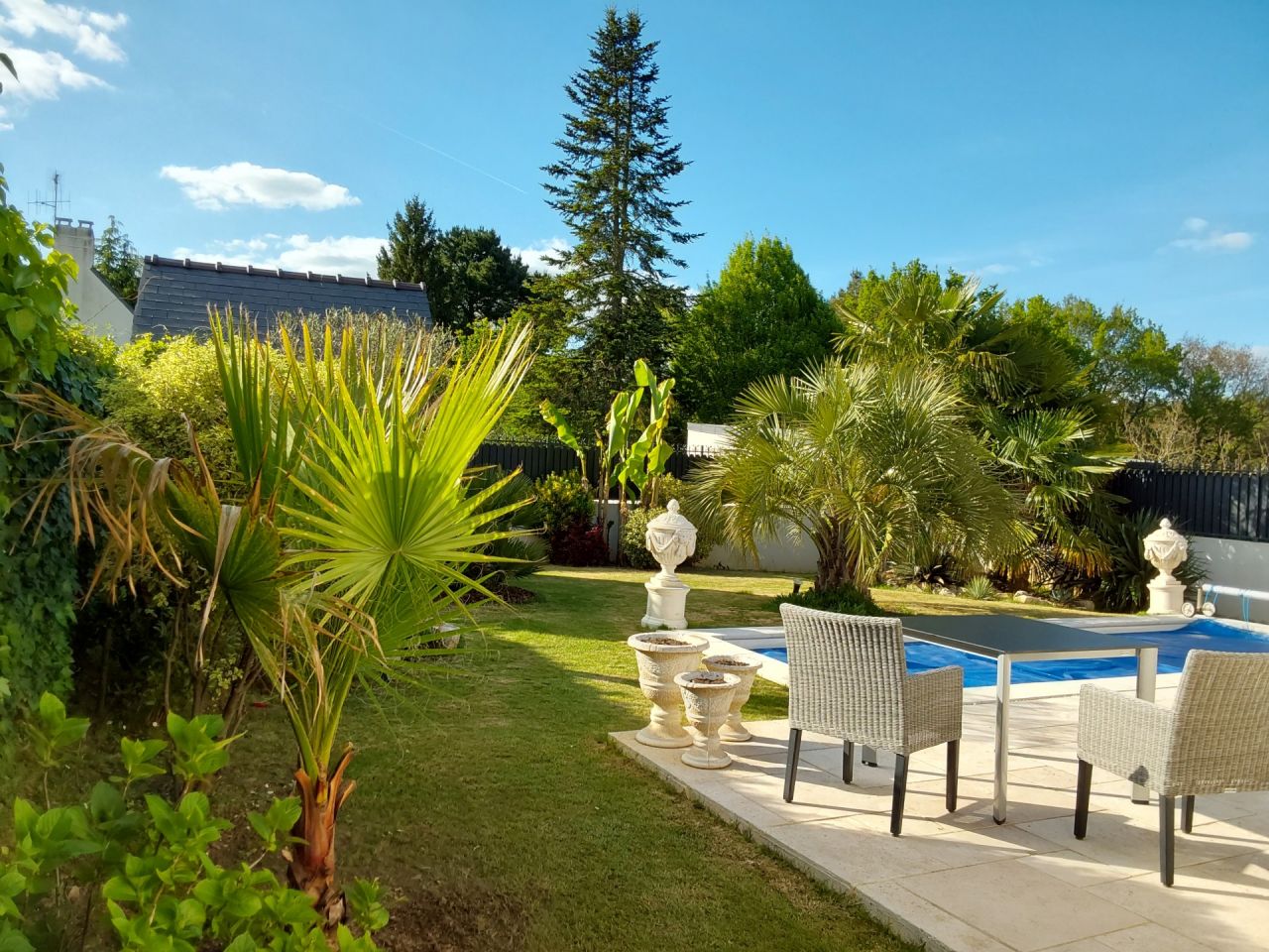 PLANTATION D UNE NOUVELLE ESPECE DE PALMIER DANS LE JARDIN UN WASHINGTONIA FILIFERA