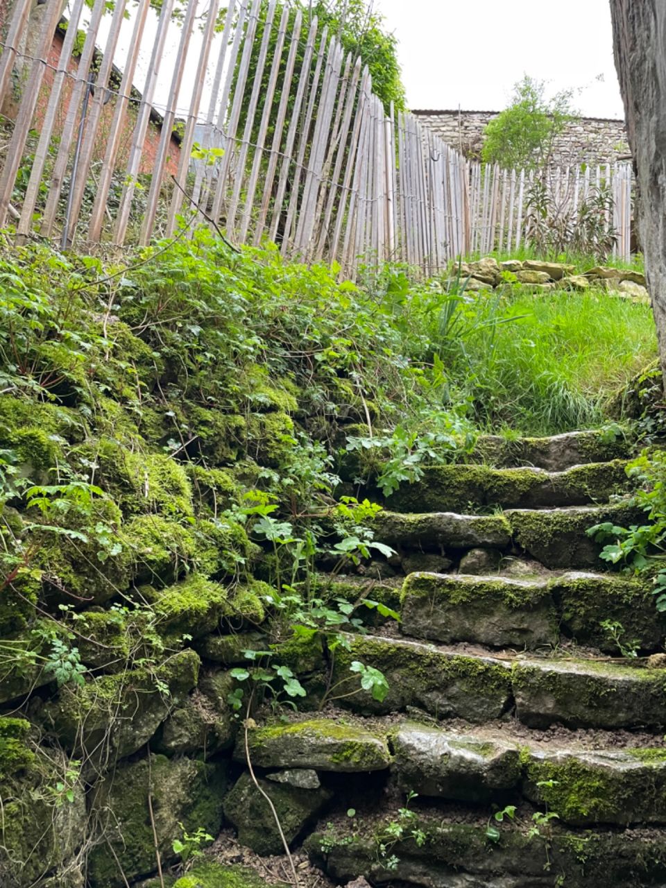 Détail de l?escalier actuel qui amène à notre jardin et du mur de soutènement sur la gauche (en pierre sèche = sans mortier).