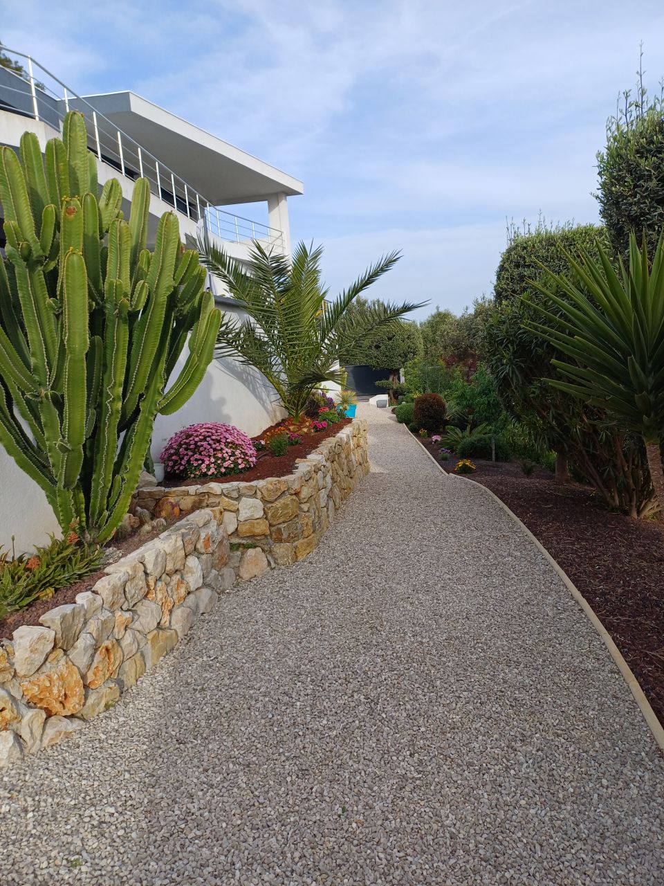 Allée sous piscine plantation terminées