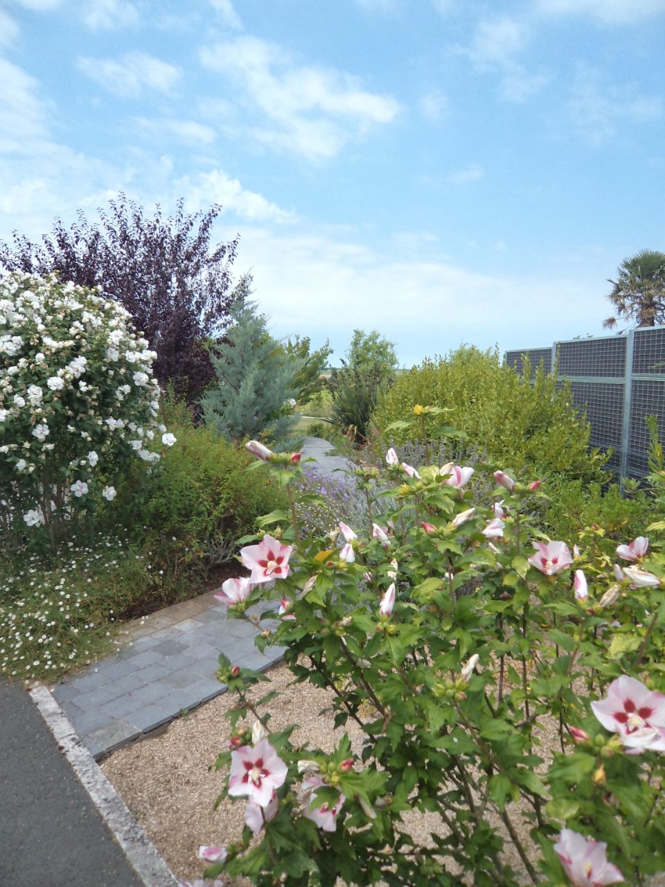 Le jardin nettoyé je vais pouvoir me reposer