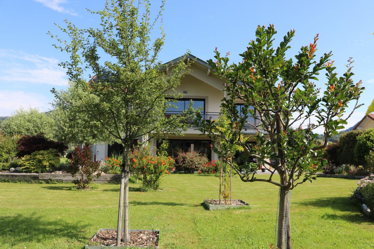 C'est les vacances. A droite, le lagerstroemia du Sud papote avé l'aubépine savoyarde ... Ils découvrent leur location Airbnb dans la verdure.