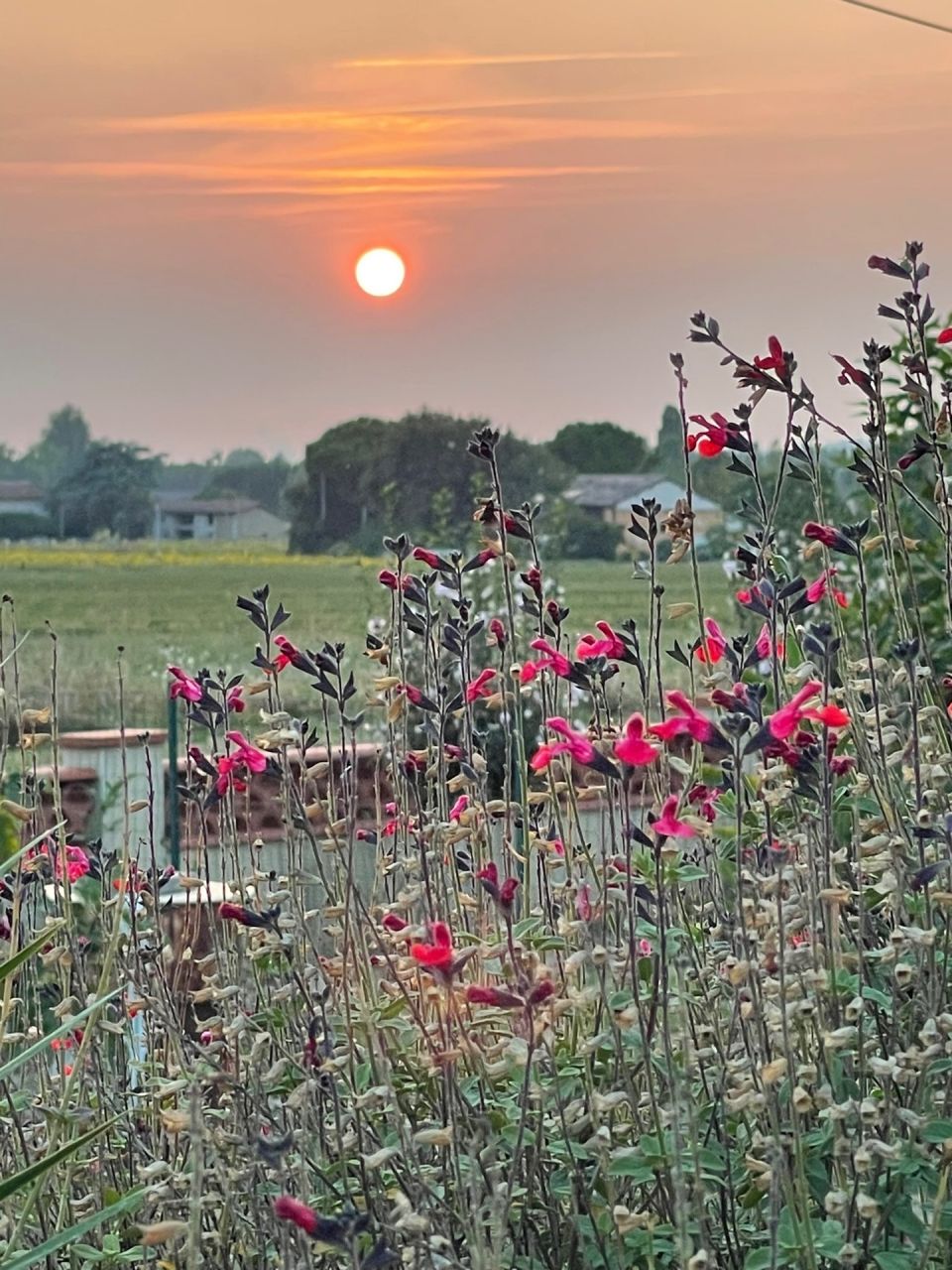 Encore un magnifique coucher de soleil