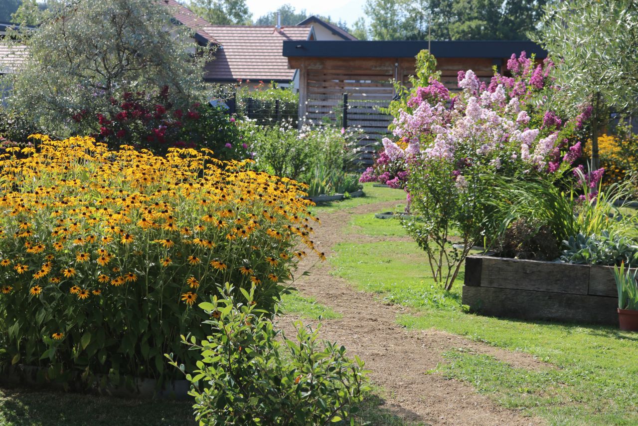 Septembre au jardin