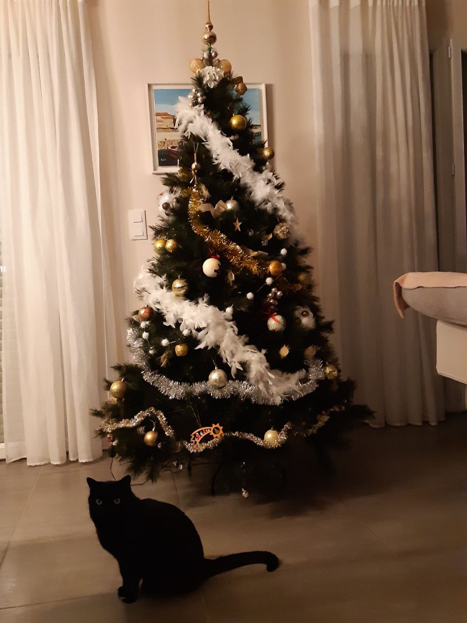 Noa pose devant le sapin