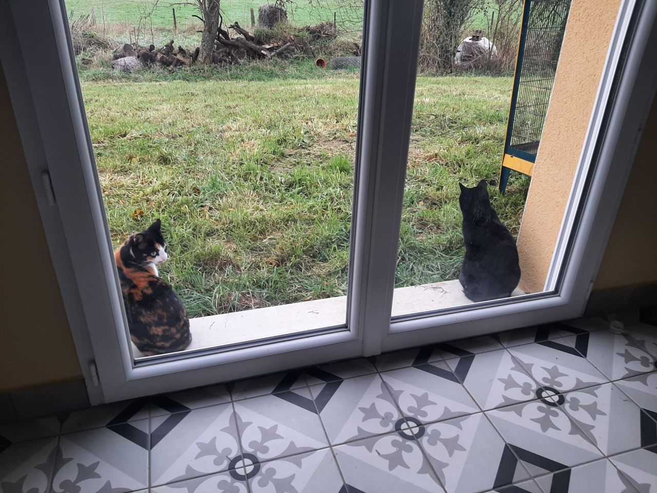 Les gardiennes du jardin sont à l'affût.