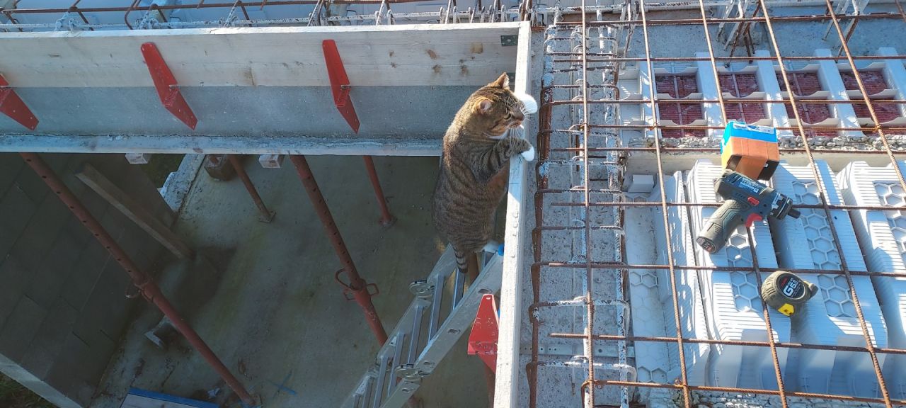 L'inspecteur des travaux fini nous a surpris à savoir monter à l'échelle, et monter sur la dalle alors que le dernier barreau est quand même bas pour lui !

Ce seront ses 1ers et derniers pas à l'étage.