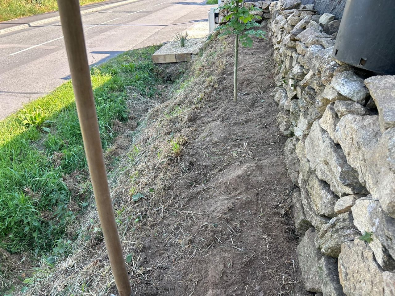 Mur en pierres sches (granit) + brande de bruyre + zozos