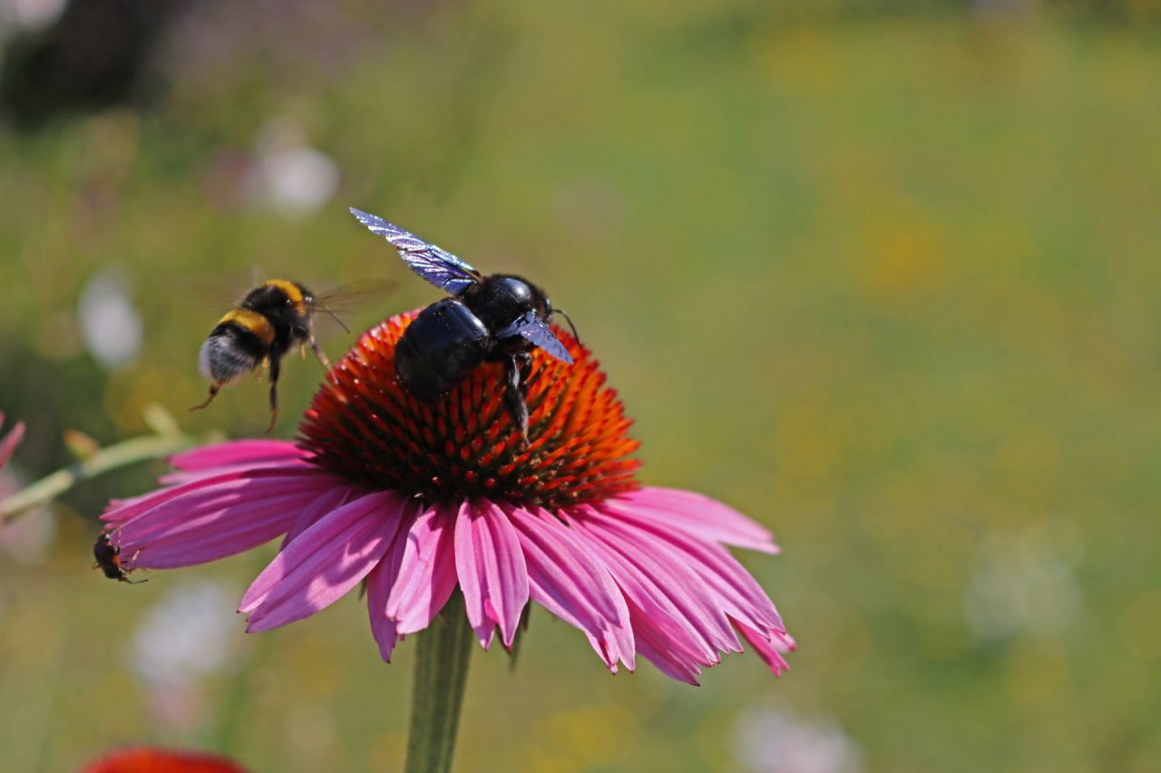 Pousse-toi, j'arrive !