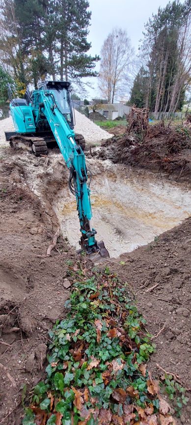 Pour enterrer les souches de pins de 50 ans