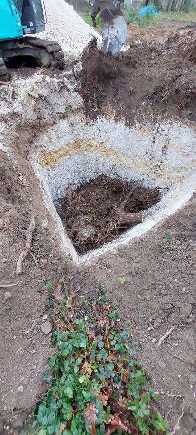 Pour enterrer les souches de pins de 50 ans