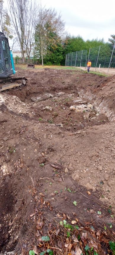 Pour enterrer les souches de pins de 50 ans, recouvert ensuite