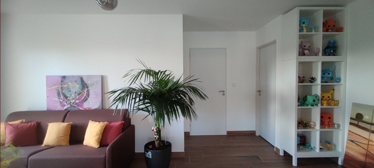 La canapé lit positionné dans la bibliothèque. Il est face à la télé comme une salle cinéma partagée avec la bibliothèque !!